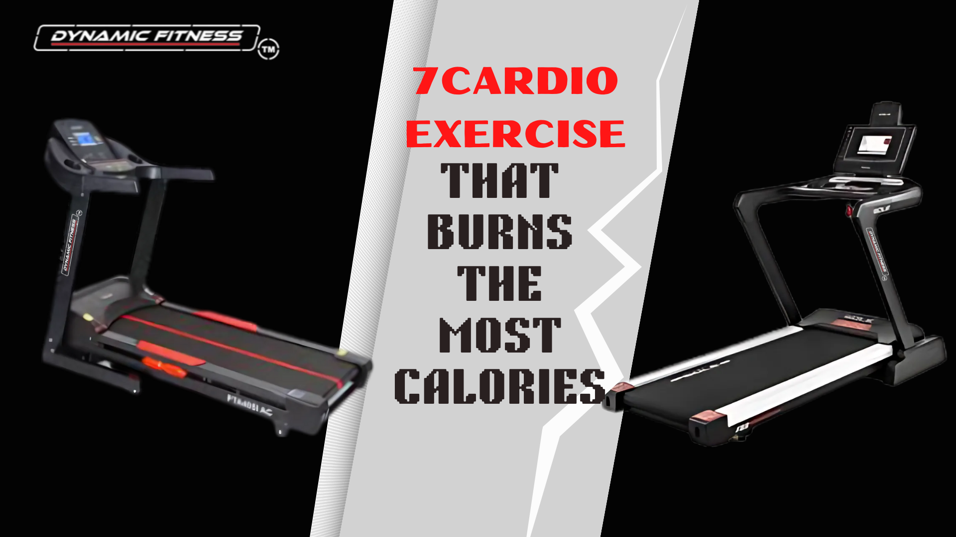 Best Cardio Equipment for Home and Commercial Use
