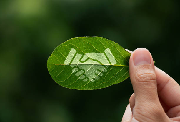 sustainability