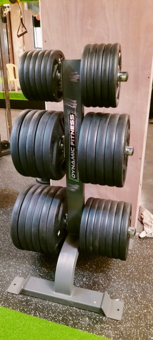 WhatsApp Image 2026-02-17 at 15.46.19 (1)