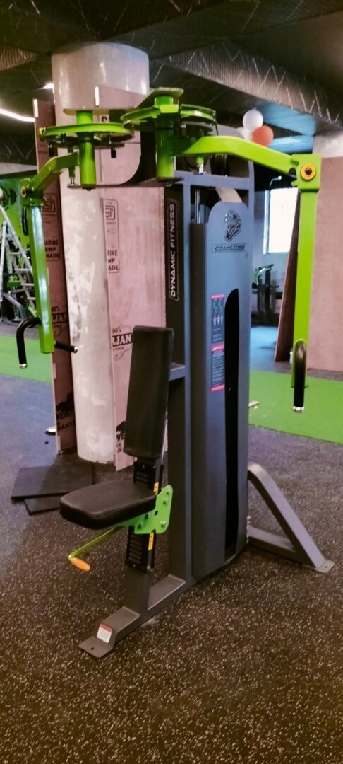 WhatsApp Image 2026-02-17 at 15.46.19