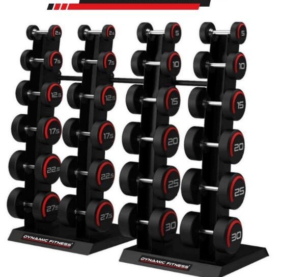 Vertical Dumbbell rack_